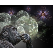 PRINT FRACTAL ART Star Gazing